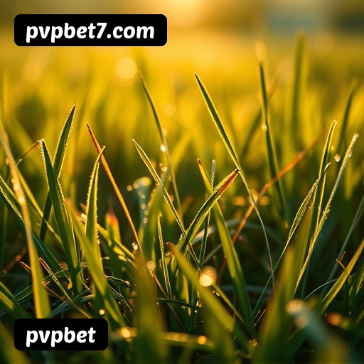 Tabela RTP verificado dos top 15 jogos mais populares pvpbet - Gates of Olympus, Fortune Tiger, Aviator